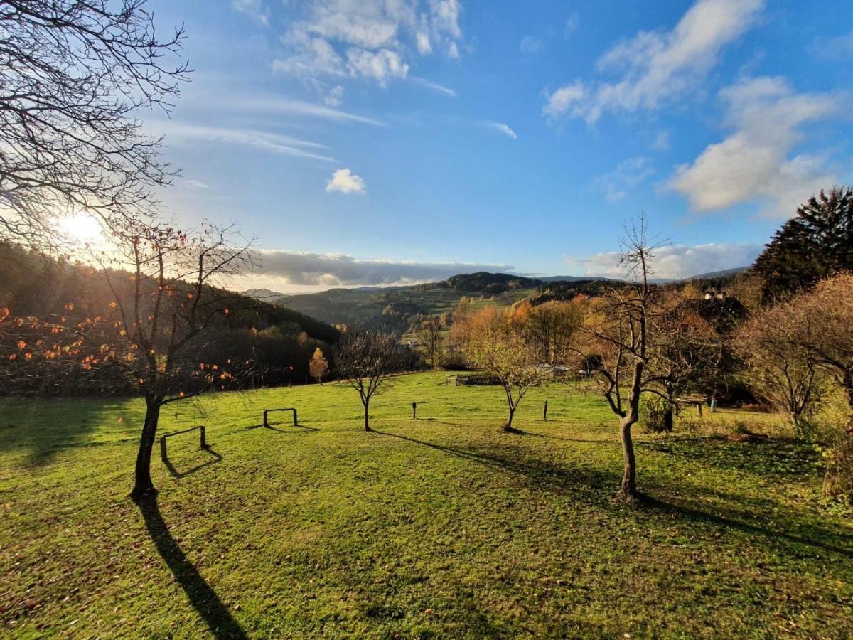 Utulny Apartman V Srdci Krkonos Se Saunou Jablonec nad Jizerou Exterior foto