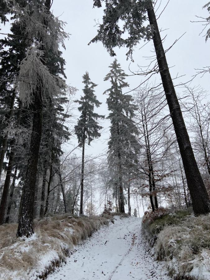 Utulny Apartman V Srdci Krkonos Se Saunou Jablonec nad Jizerou Exterior foto